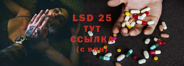 трава Коряжма