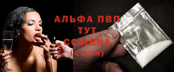 трава Коряжма