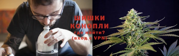 трава Коряжма