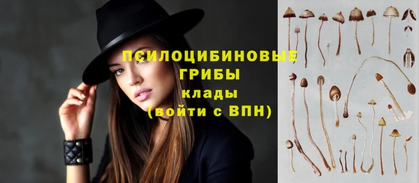 трава Коряжма