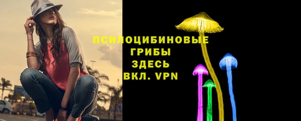 прущий лед Корсаков
