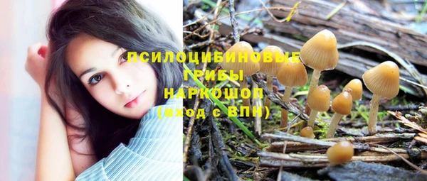 трава Коряжма