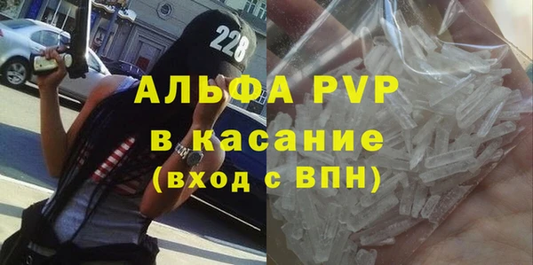 трава Коряжма